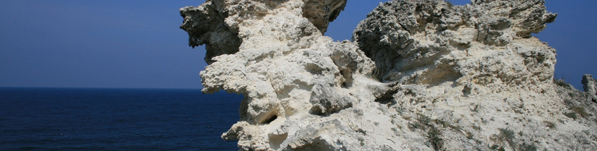 d7f821e7dcbd086003ee6b4ad5f4aa81.jpg